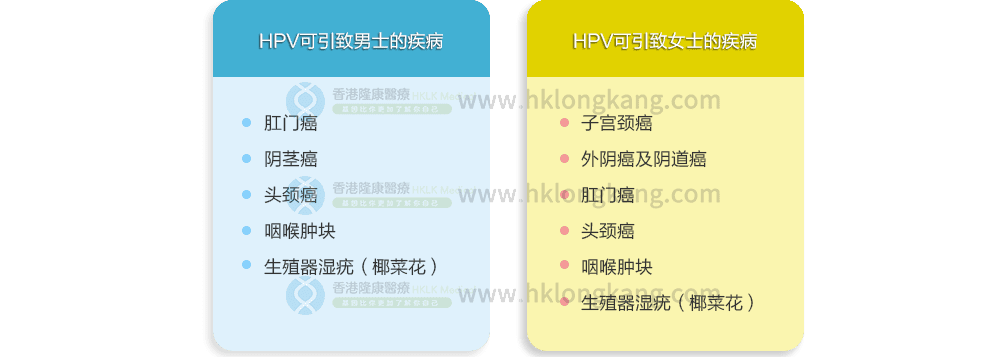 HPV可致男士和女士的疾病