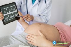 懷孕初期通过超音波看胎兒性別是男还是女？
