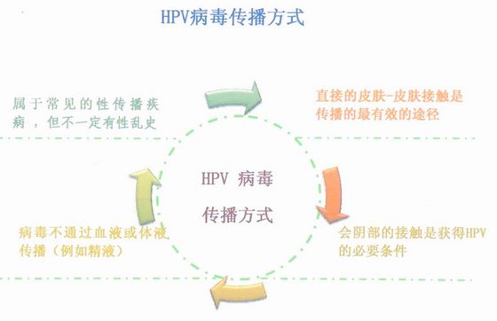 HPV病毒传播途径